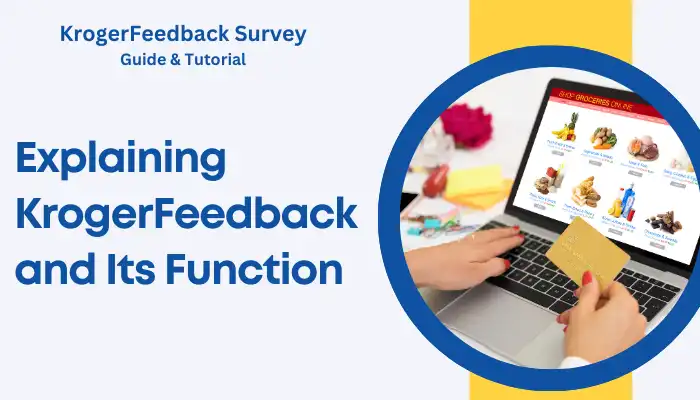Explaining KrogerFeedback and Its Function Explaining KrogerFeedback and Its Function