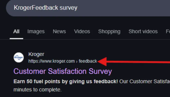 Screenshot of the Survey Site Screenshot of the Survey Site